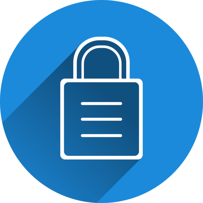 Free castle security locked vector